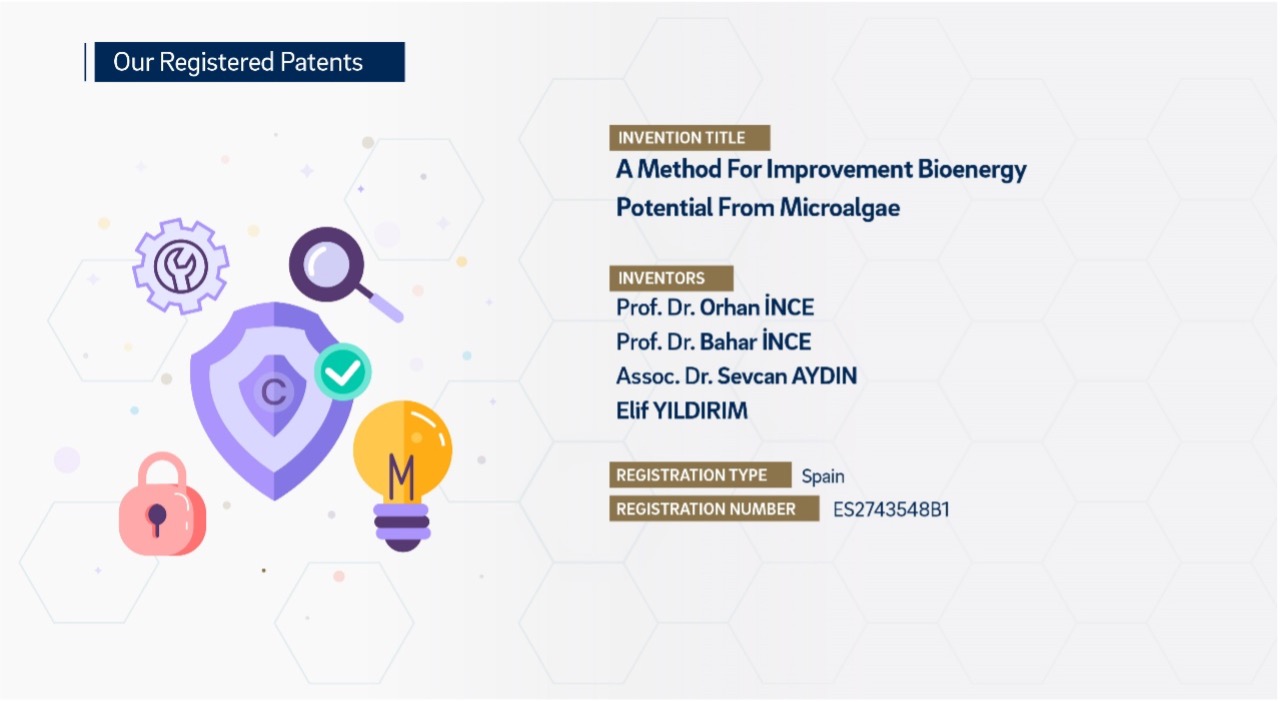 International Patents 3
