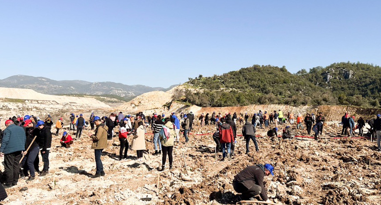 250000-saplings-planted-in-the-250th-year